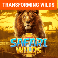 Safari Hoang Dã thumbnail
